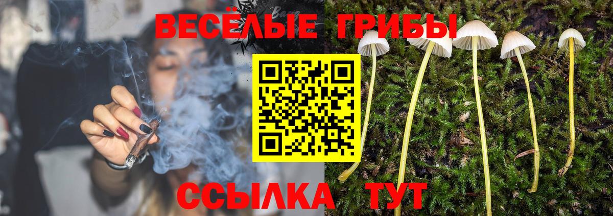 цены   Вход с VPN  Железногорск  Псилоцибиновые грибы Psilocybe 