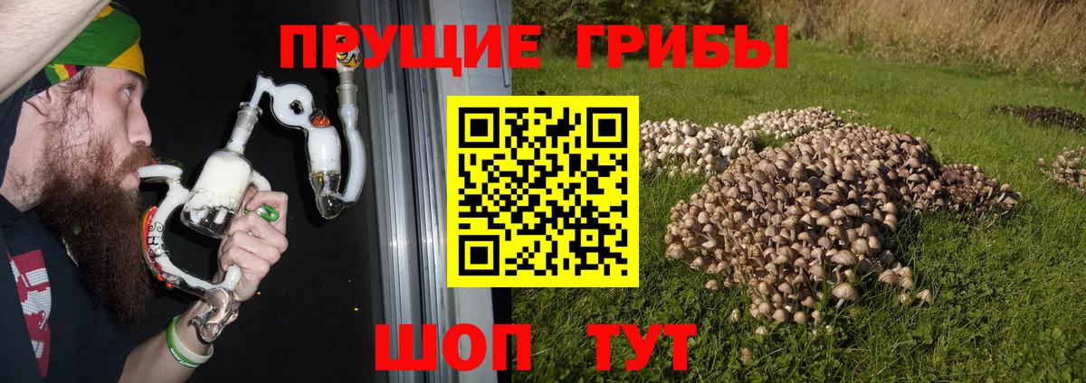Галлюциногенные грибы прущие грибы Железногорск